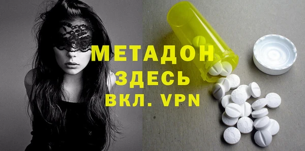 индика Каменка