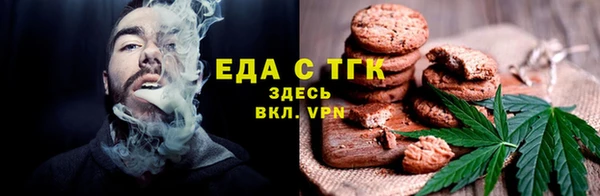 индика Каменка