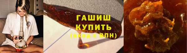 стаф Каменногорск