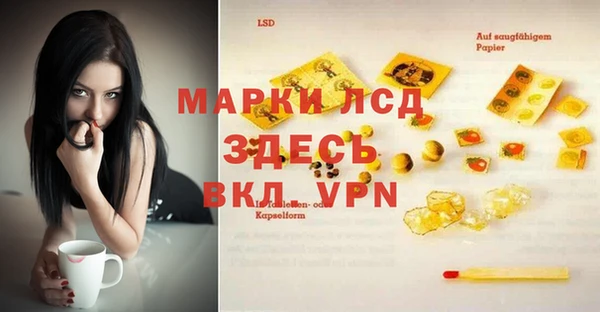 индика Каменка