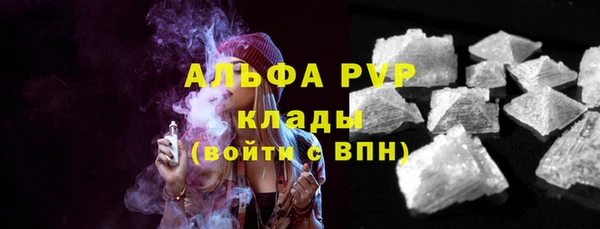 стаф Каменногорск