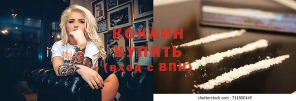 стаф Каменногорск