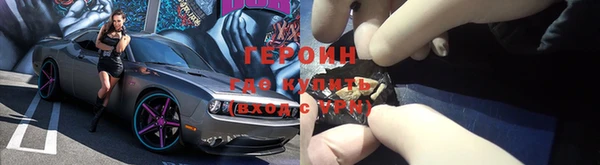 индика Каменка