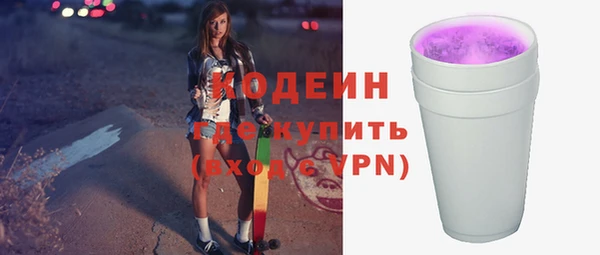 стаф Каменногорск