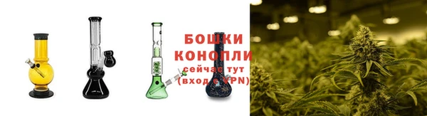 не бодяженный Каменск-Шахтинский