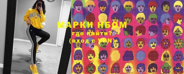 стаф Каменногорск