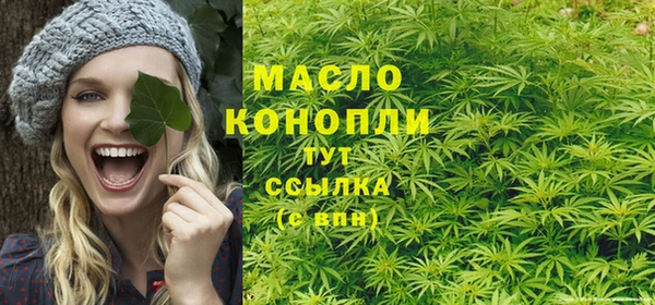 стаф Каменногорск