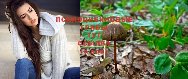 не бодяженный Каменск-Шахтинский