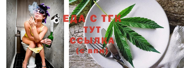 индика Каменка