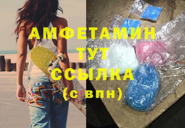 индика Каменка