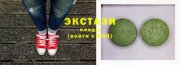 индика Каменка