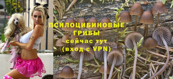 индика Каменка