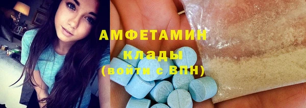 стаф Каменногорск