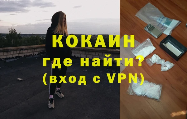 индика Каменка