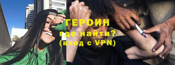 индика Каменка