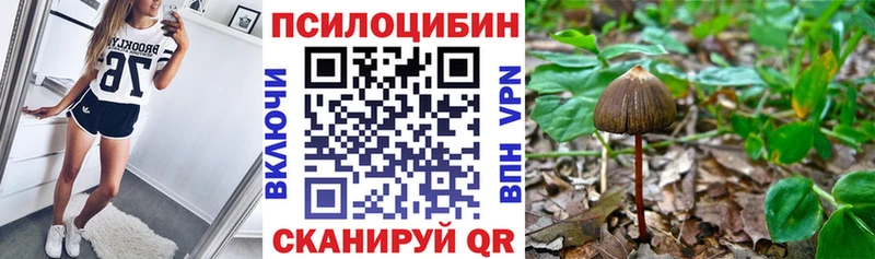 Галлюциногенные грибы ЛСД  Купить где  Очёр 